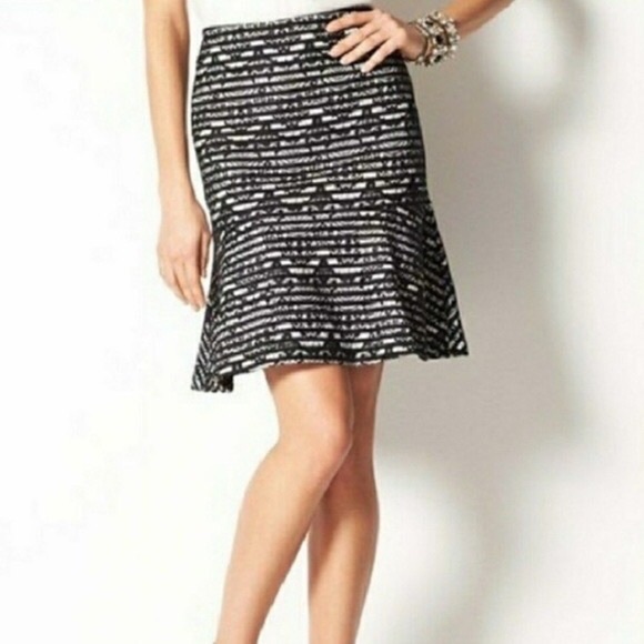 Ann Taylor Lace & Stripes Black & White Trumpet Skirt 6 - Picture 2 of 9